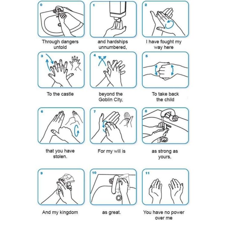 Labyrinth Hand Washing Meme Courtesy of Imgur and DilligafDiva