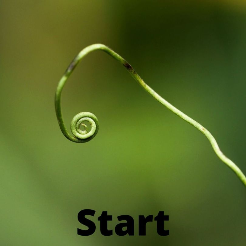 Start