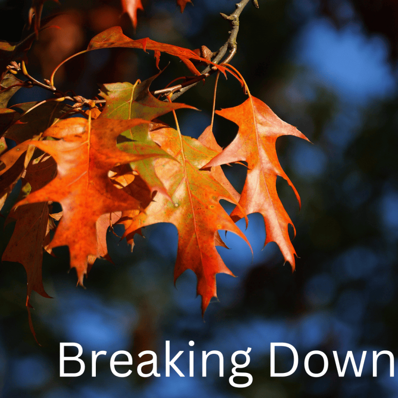 Breaking Down