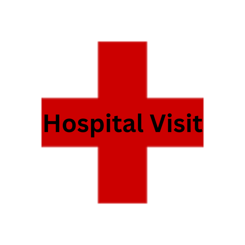 Hospital Visit