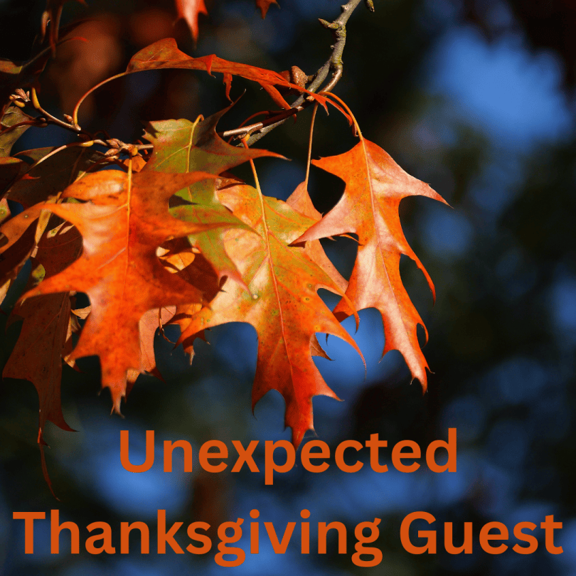 Unexpected Thanksgiving Guest
