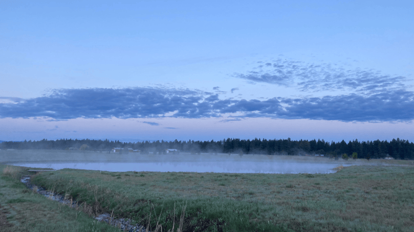Steamy Pond