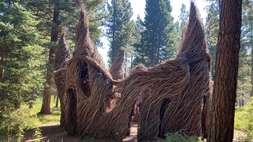 Sculpture in the Wild